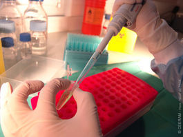 ceeramTOOLS® PCR kits for viruses & parasites detection